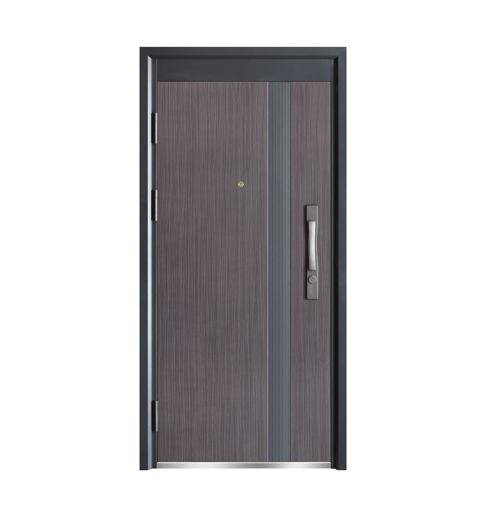 Puerta-de-seguridad